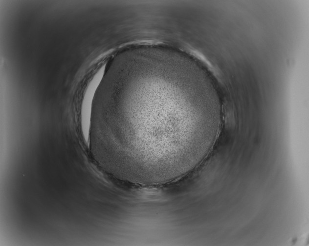 X0000091721448200709141156