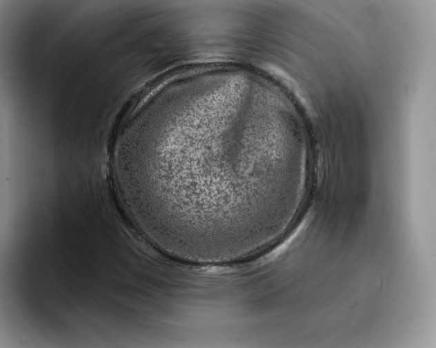 X0000091721449200709141156