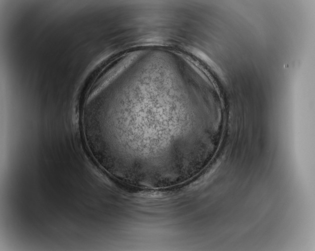 X0000091721450200709141156