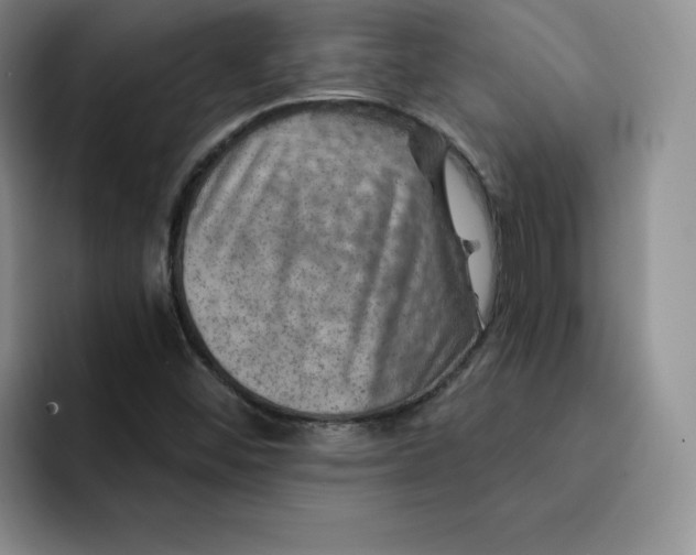 X0000091721452200709141156