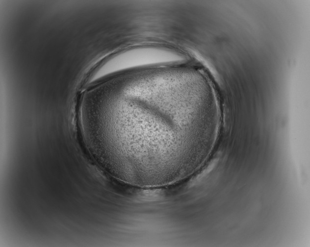 X0000091721453200709141156