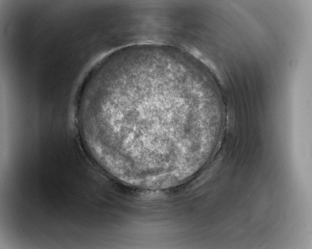 X0000091721454200709141156