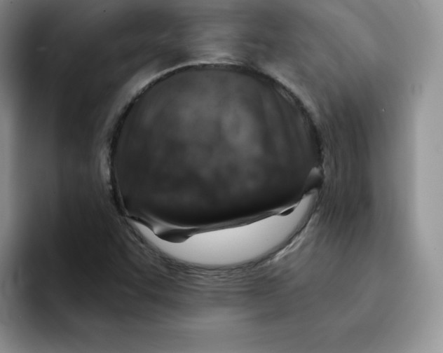 X0000091721455200709141156