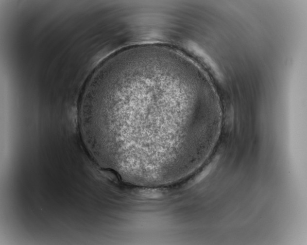 X0000091721457200709141156