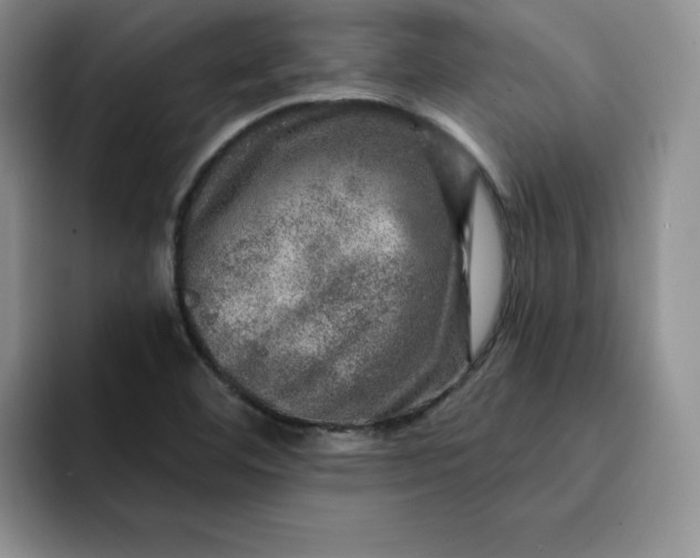 X0000091721460200709141156