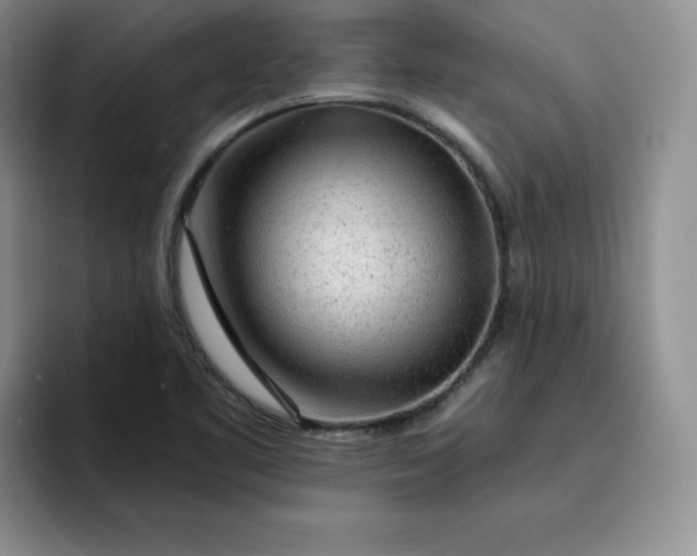 X0000091721461200709141156