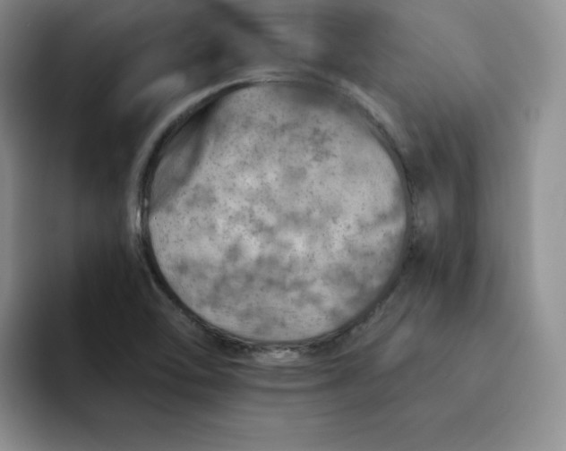 X0000091721462200709141156