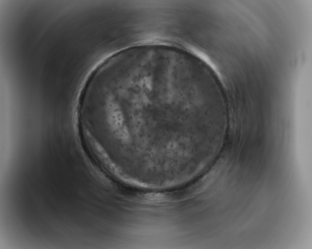 X0000091721463200709141156