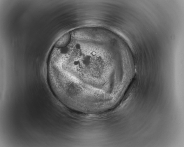 X0000091721467200709141155