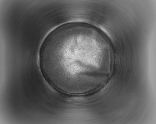 X0000091721468200709141155