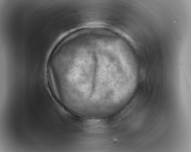 X0000091721470200709141155