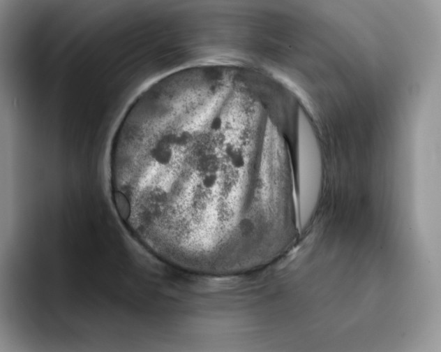 X0000091721471200709141155