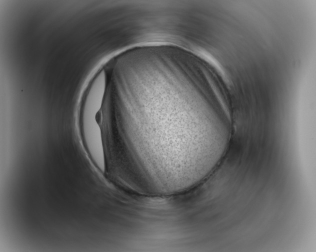 X0000091721472200709141155