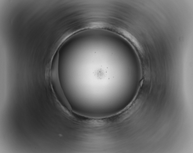 X0000091721473200709141155