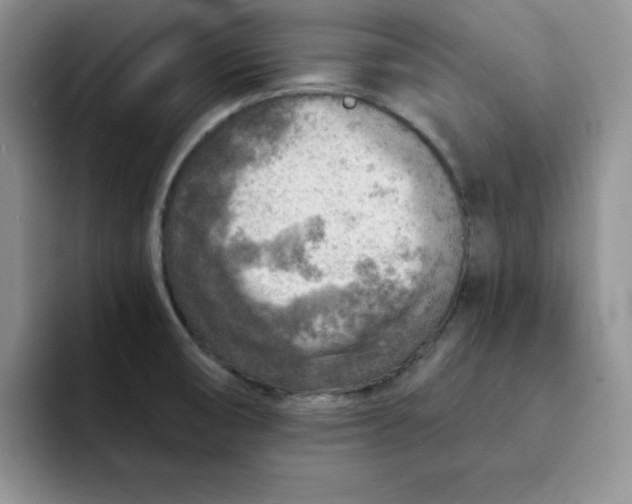 X0000091721474200709141155