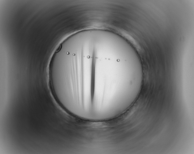 X0000091721479200709141155