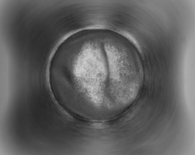 X0000091721480200709141155