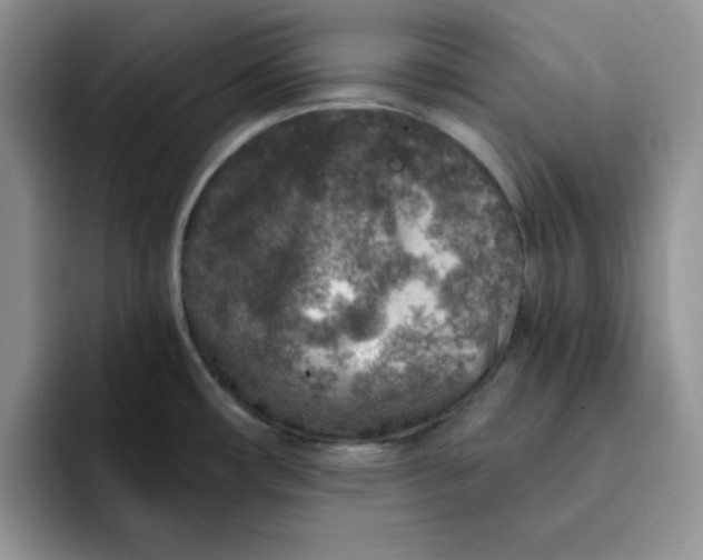 X0000091721482200709141155