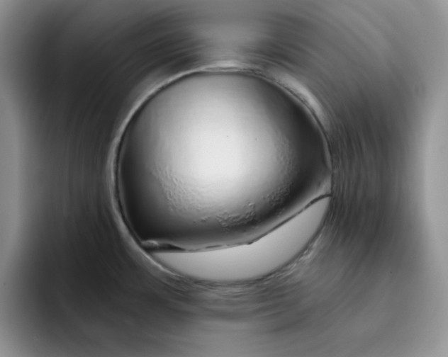 X0000091721483200709141155