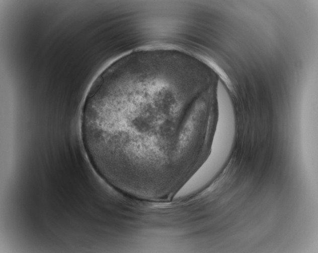 X0000091721484200709141155