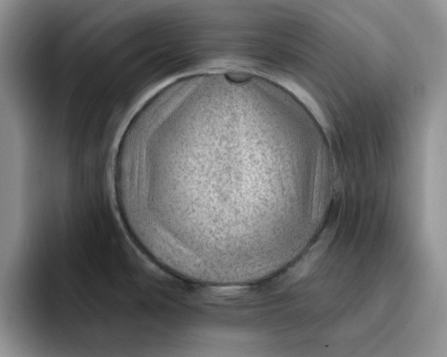 X0000091721486200709141155