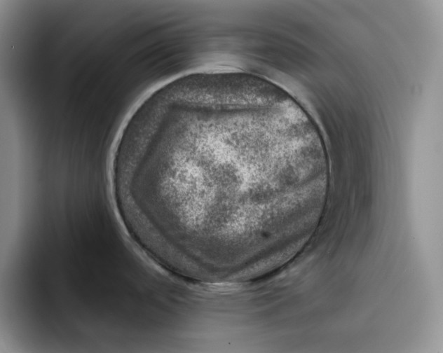 X0000091721488200709141155