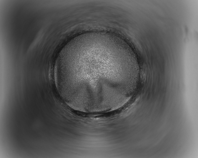 X0000091721490200709141155