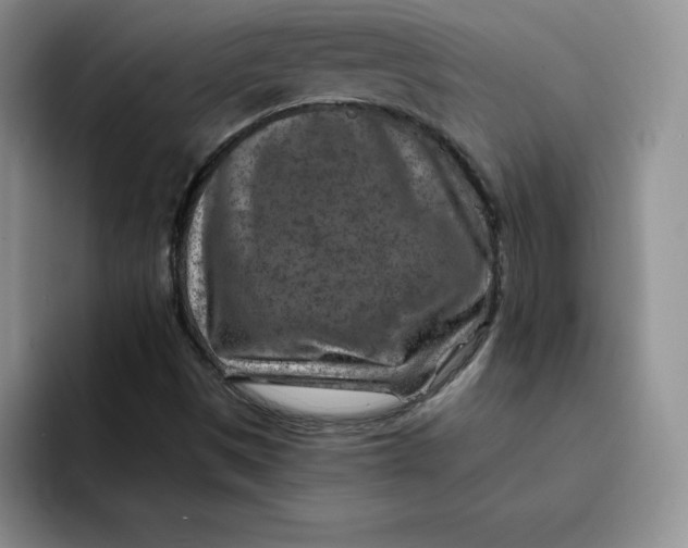 X0000091721497200709141155