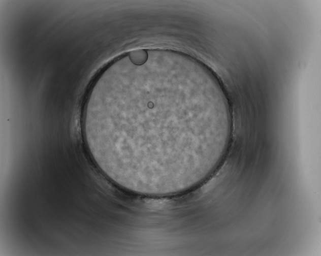 X0000091721498200709141155