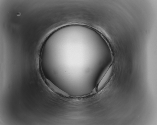 X0000091721504200709141155