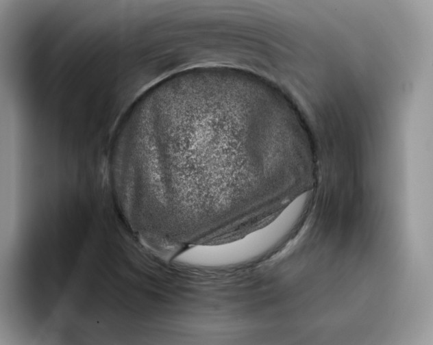 X0000091721505200709141155