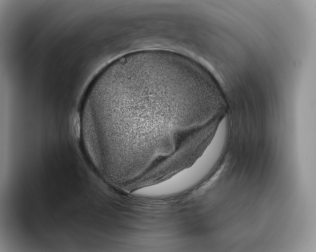 X0000091721509200709141155