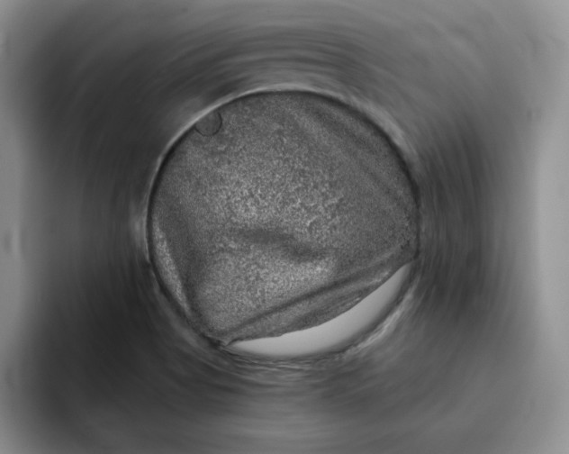 X0000091721513200709141155