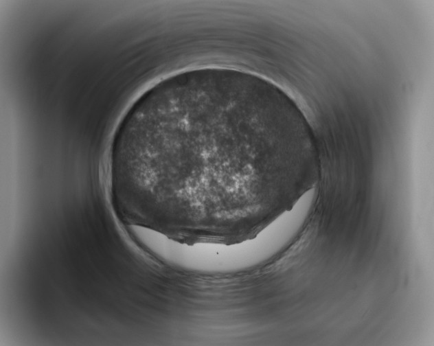 X0000091721515200709141155