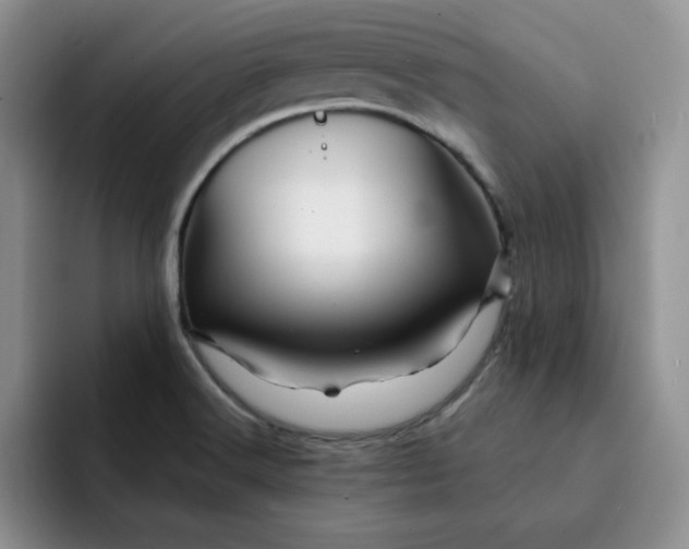 X0000091721516200709141155