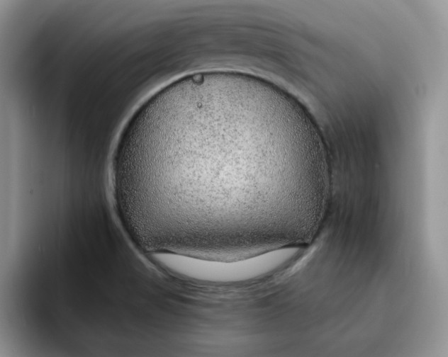 X0000091721517200709141155