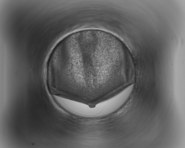 X0000091721519200709141155