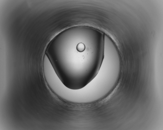 X0000091721521200709141155