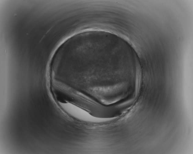 X0000091721522200709141155