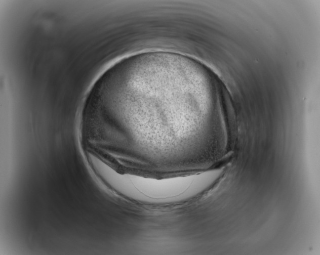 X0000091721523200709141155