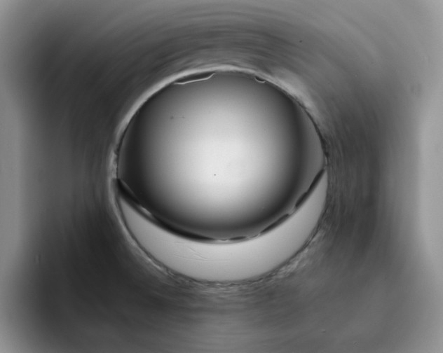 X0000091721524200709141155