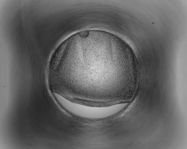 X0000091721525200709141155