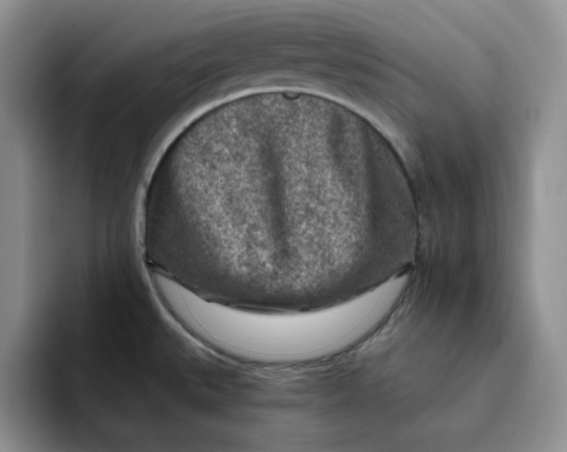 X0000091721527200709141155