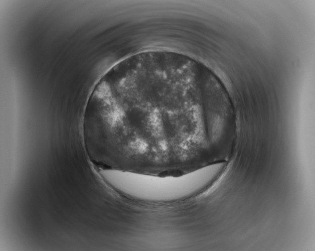 X0000091721529200709141155