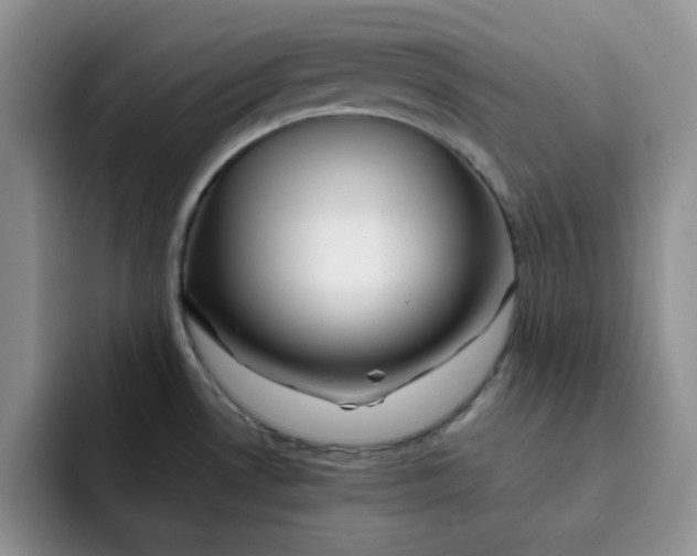 X0000091721530200709141155