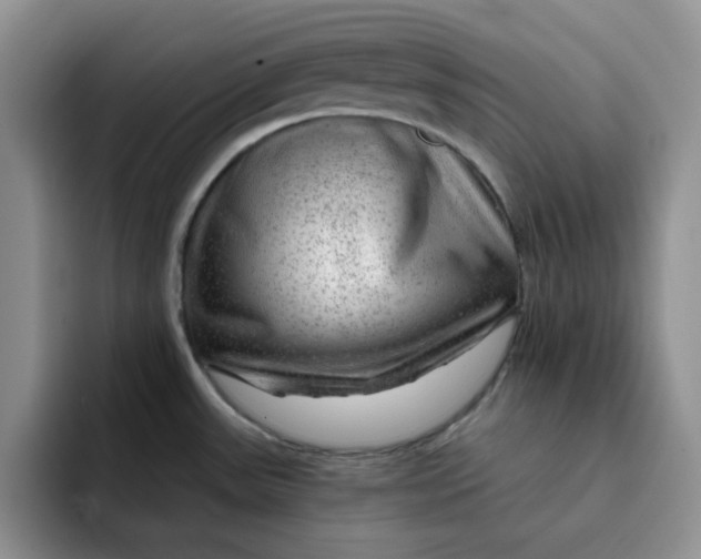 X0000091721531200709141155