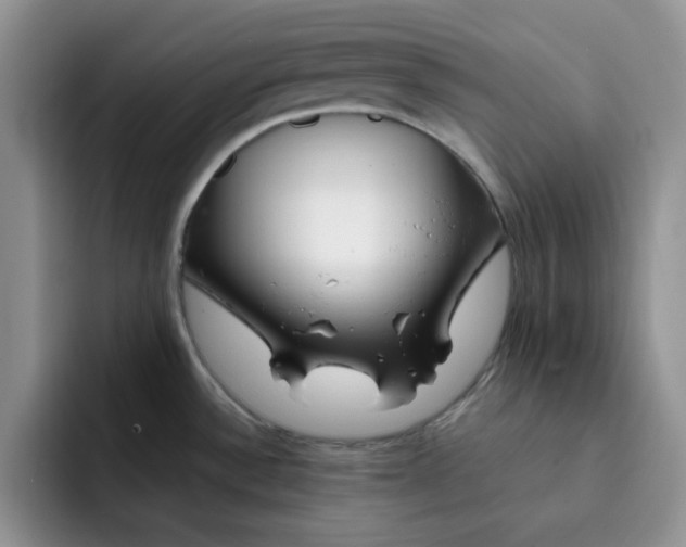 X0000091721532200709141155