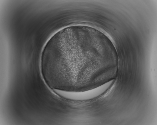 X0000091721533200709141155