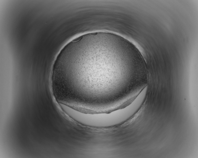 X0000091721534200709141155