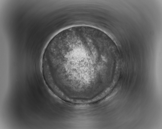 X0000091721535200709141155